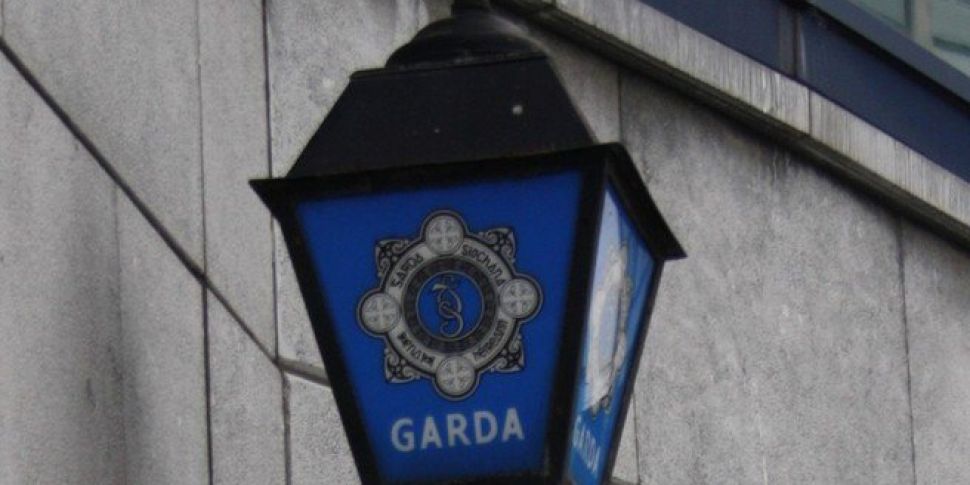 Gardai Issue Appeal Over Skerr...