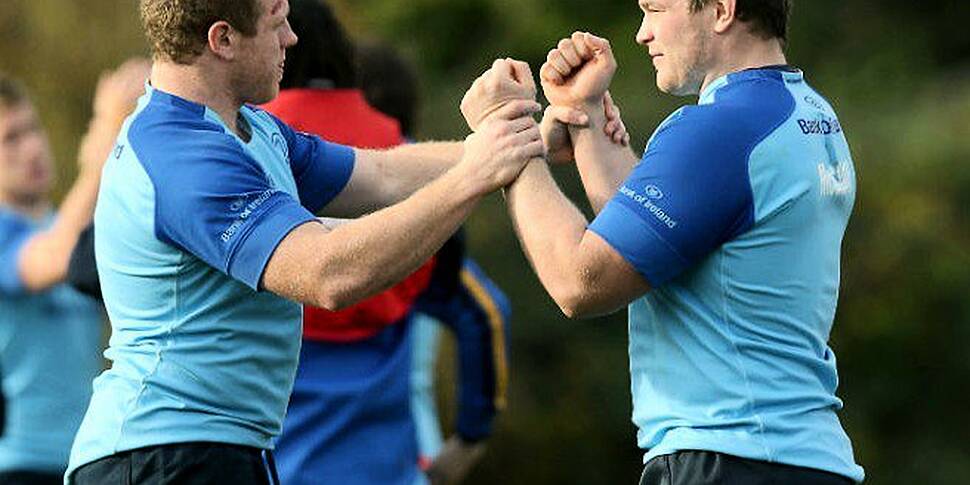 Leinster Duo Doubtful For Zebr...