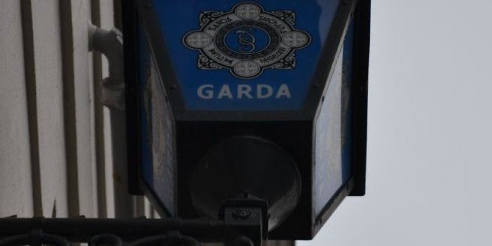 GardaÃ­ appeal to public for h...