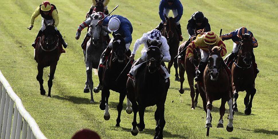 Australia Wins Irish Derby