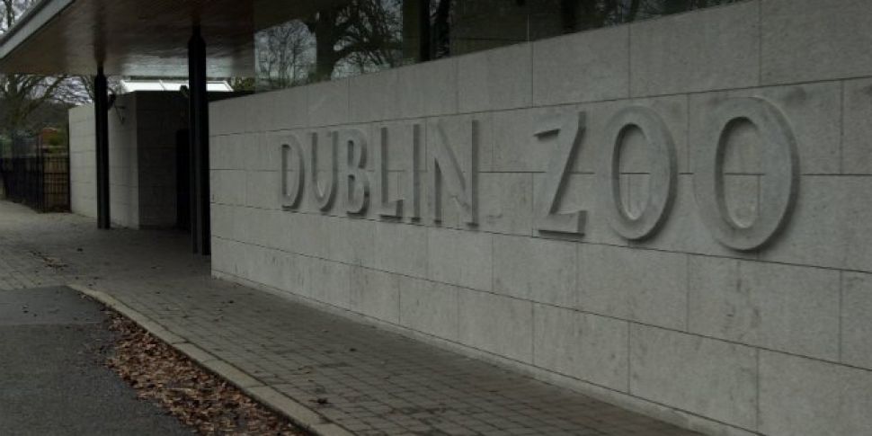 Dublin Zoo Falls Victim To Mas...