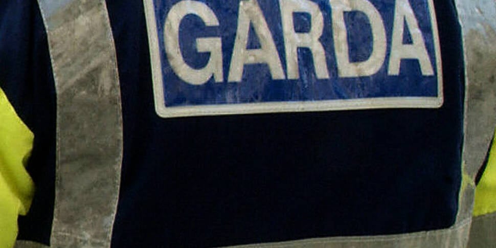 GardaÃ­ appeal for witnesses a...