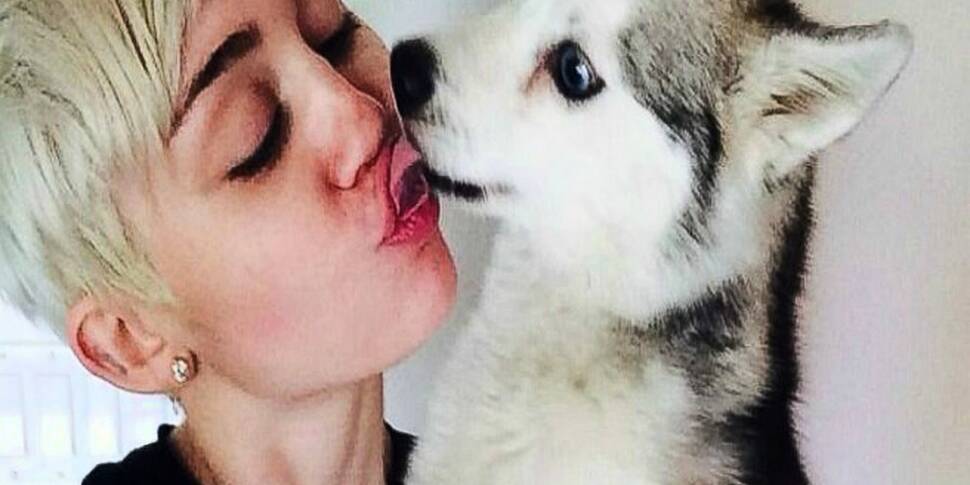 Miley hires animal psychic to...