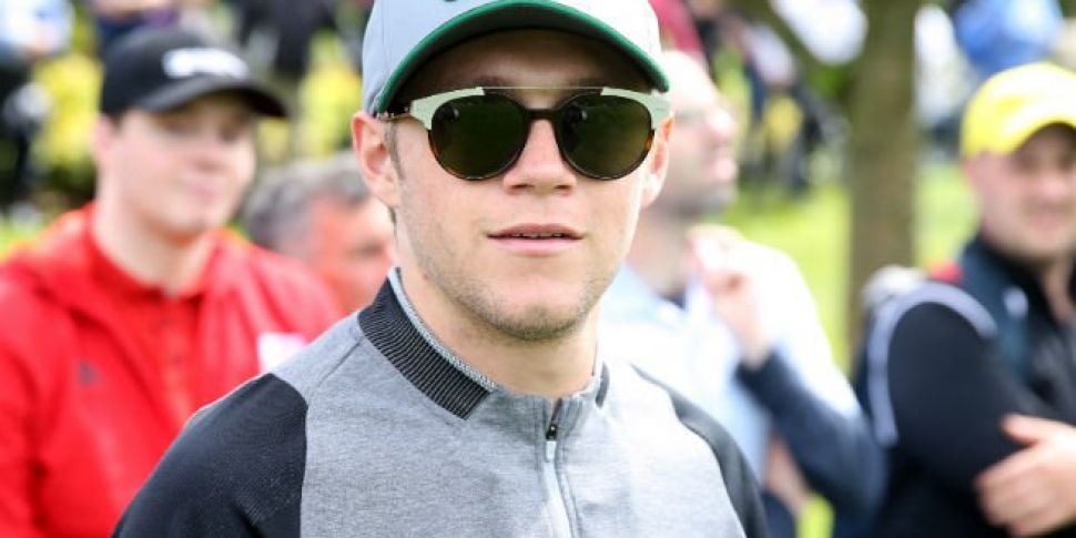 Niall Horan Hits Back At Troll...