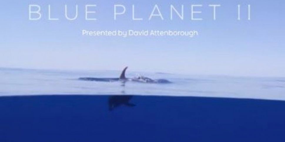 BBC Announce Blue Planet Seque...