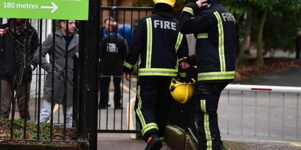 Fire At London Zoo Claims The...