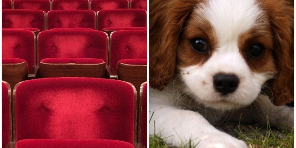 Dublin Cinema Holding Dog Frie...