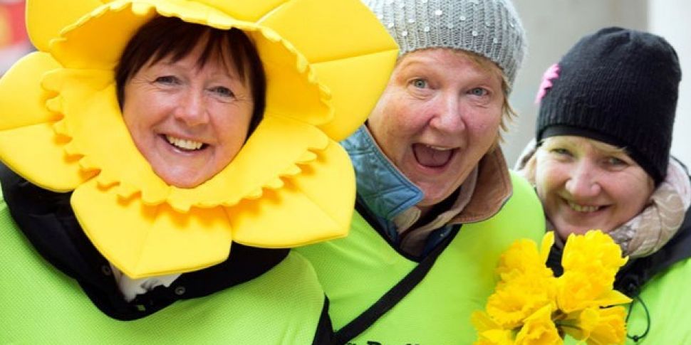 Dig Deep For Daffodil Day 2018...