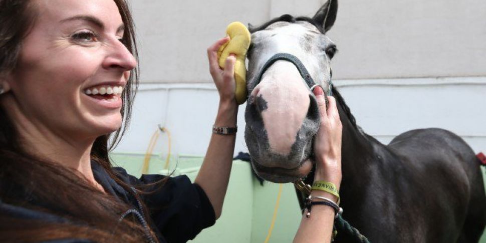 Dublin Horse Show Kicks Off In...