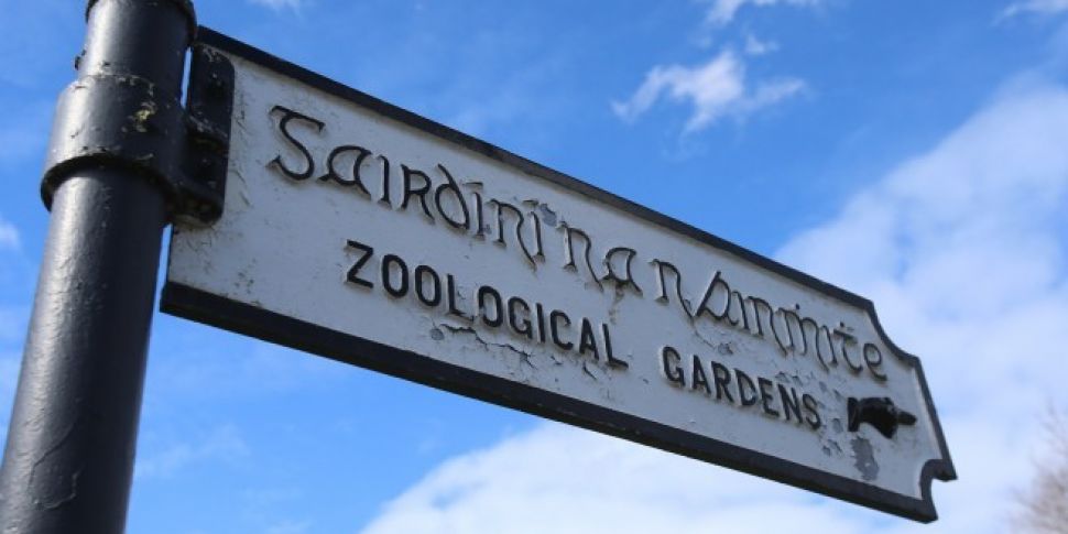 Storm Ali Forces Dublin Zoo To...
