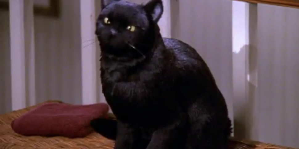 First Look At Salem In Netflix...