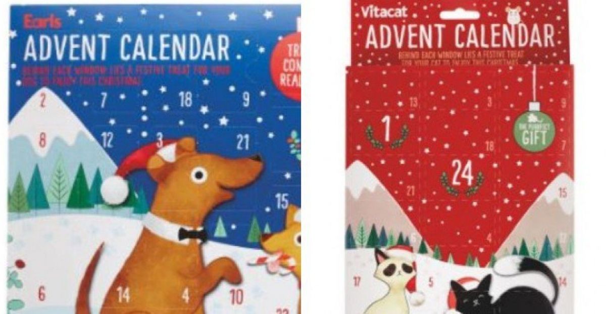 Aldi Are Selling Pet Advent Calendars