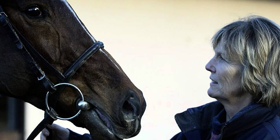 Watching Guineas meetings at h...