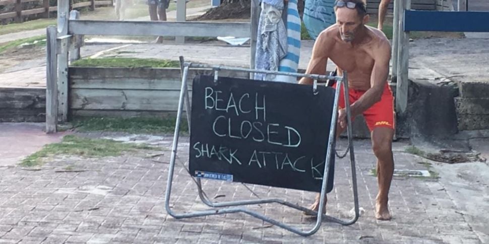 Man Injured After Shark Attack...