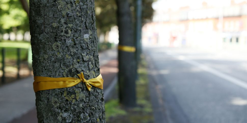 Calls For Street Tree Cover To...