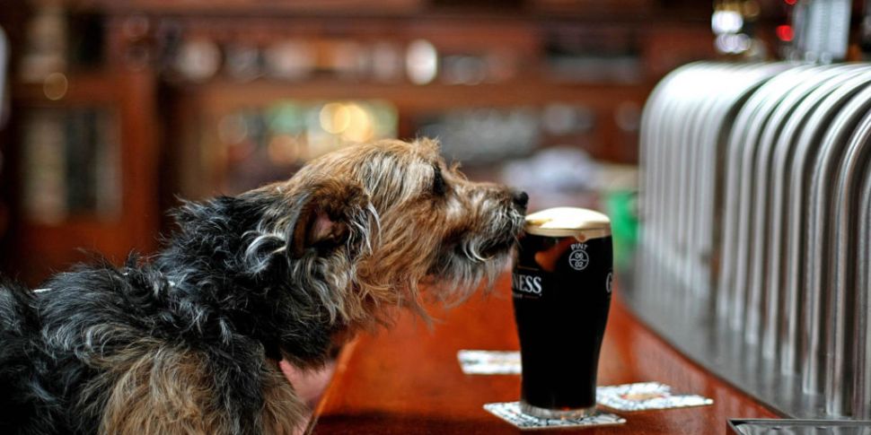 The Cheapest Dublin Pubs For A...
