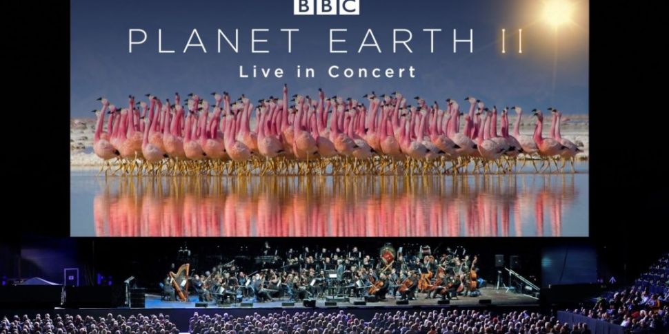 Planet Earth II Live In Concer...