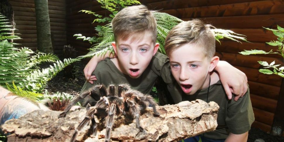 Twins Can Get Into Tayto Park...