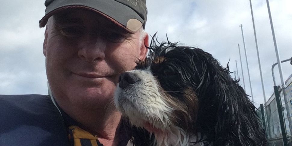 Spaniel Rescued From Dún Laogh...