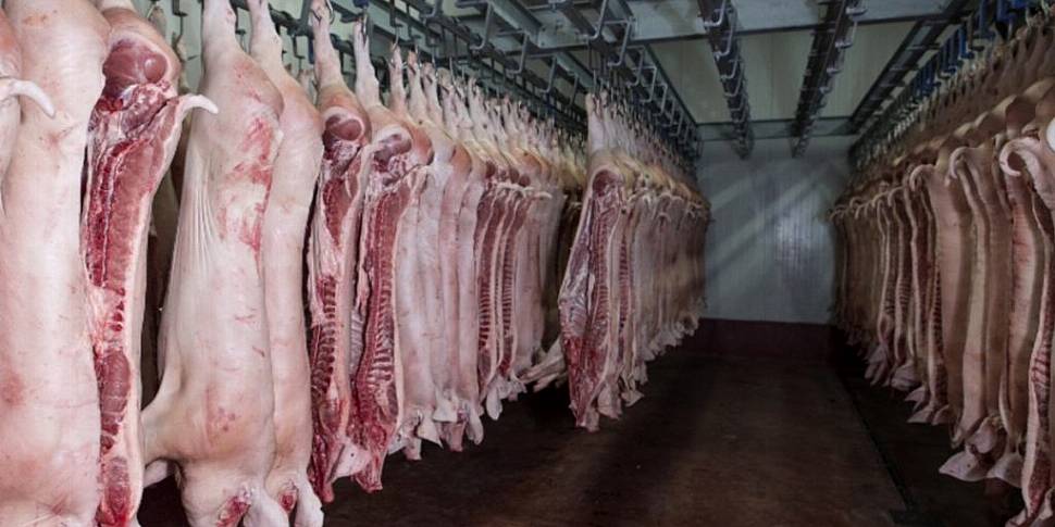 Former Abattoir Reveals The Ho...