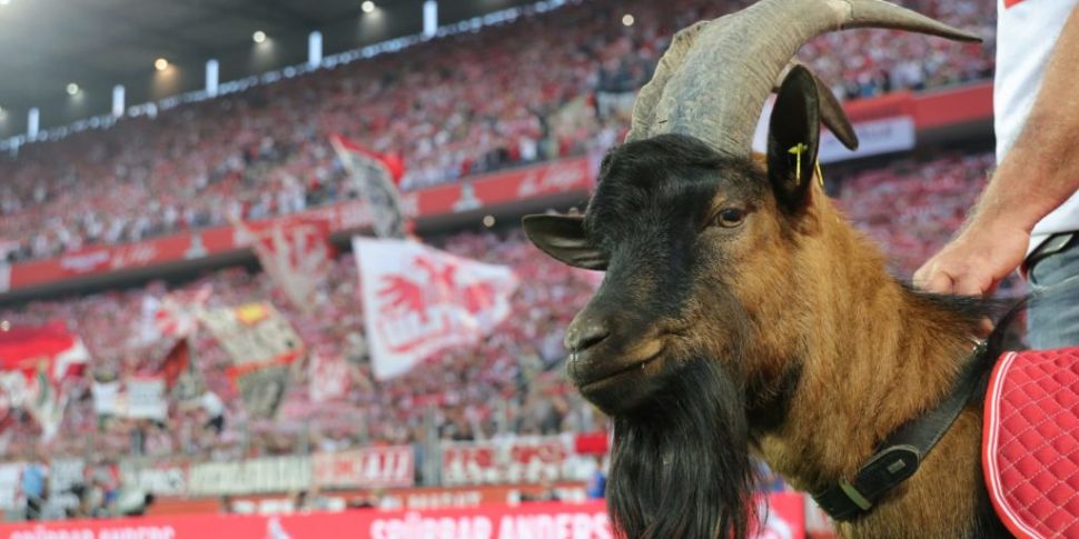 Bundesliga return setback as t...