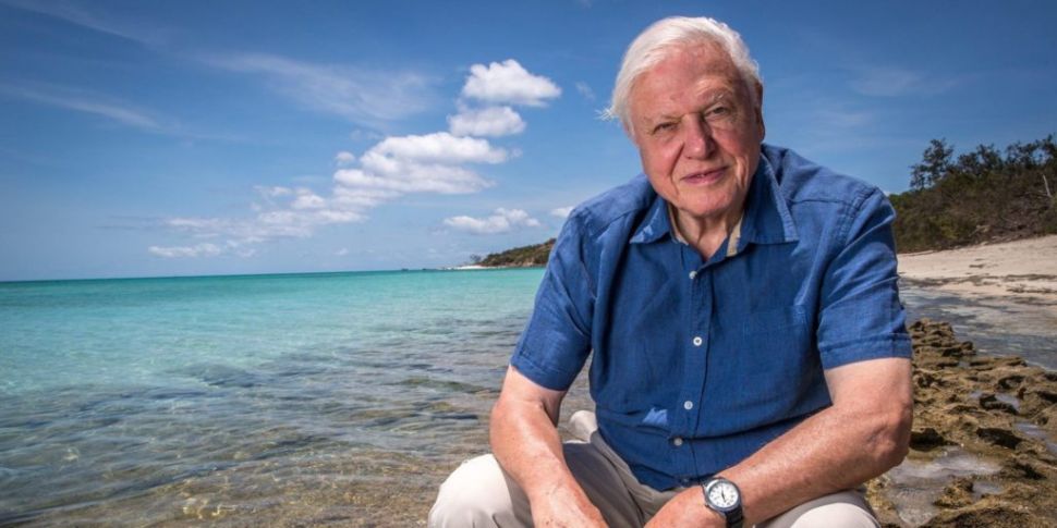 David Attenborough Joins Insta...