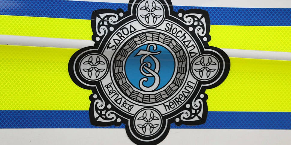 Gardai Investigate Fight Betwe...