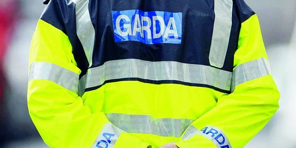 Senior Garda Suspended Over Al...