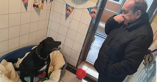 Oscar From Dogs Trust Has Finally Been Adopted After Eight Years - Vimarsana News