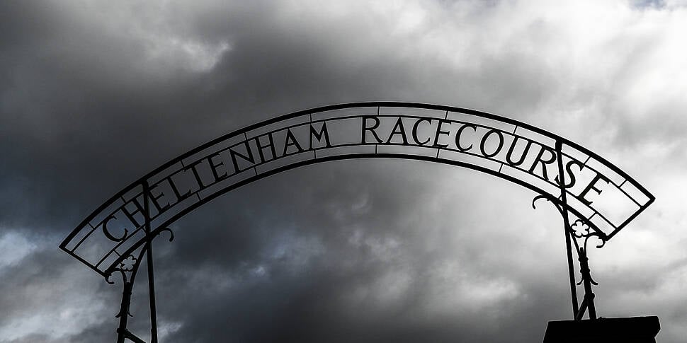 Cheltenham organisers resigned...