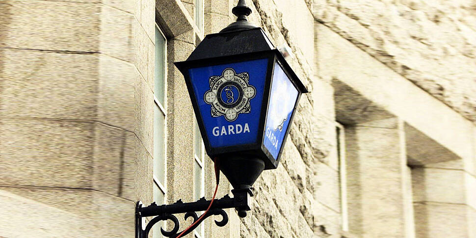 Gardai Find Partial Skeletal R...