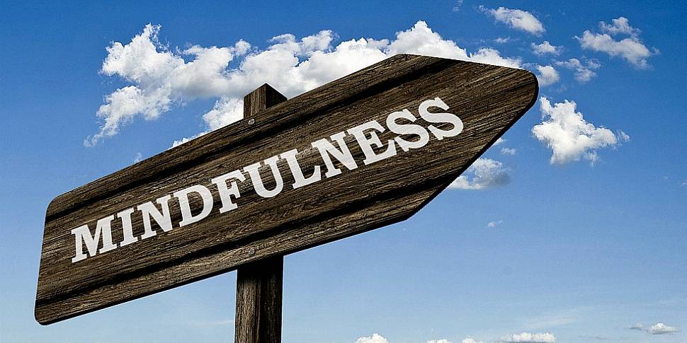 The Mindfulness Fix: Stress Bu...