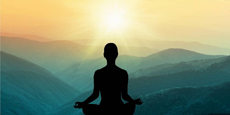 The Mindfulness Fix: How To De...