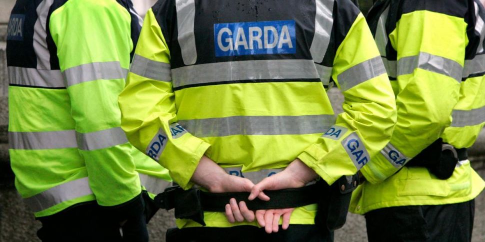 Gardai Renew Appeal For Help I...
