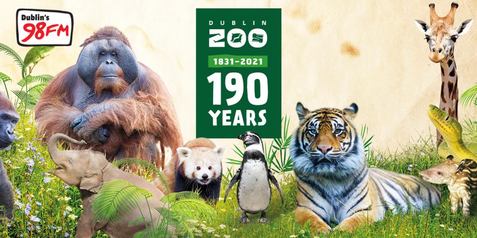 Dublin Zoo Unveils Ambitious N...