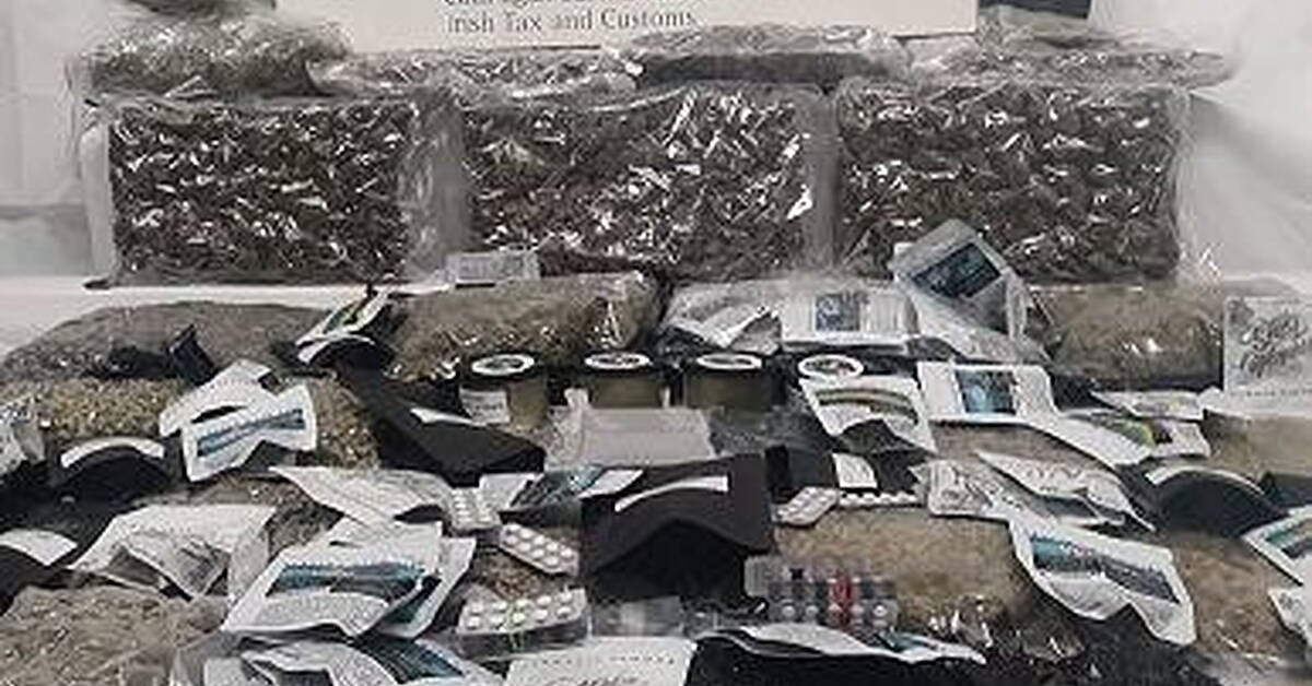 Detector Dog Bailey Helps Revenue Seize Drugs Worth Over €200,000 - Vimarsana News