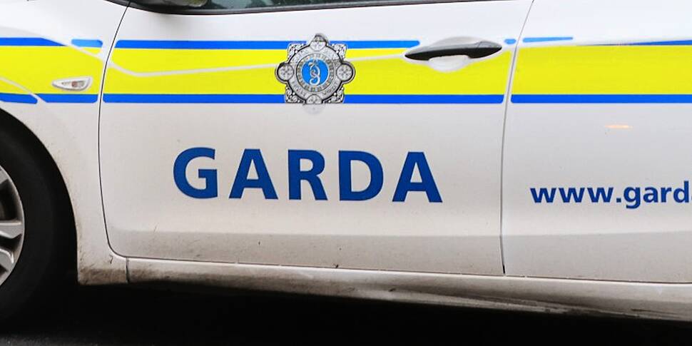 Gardai Renew Appeal For Inform...