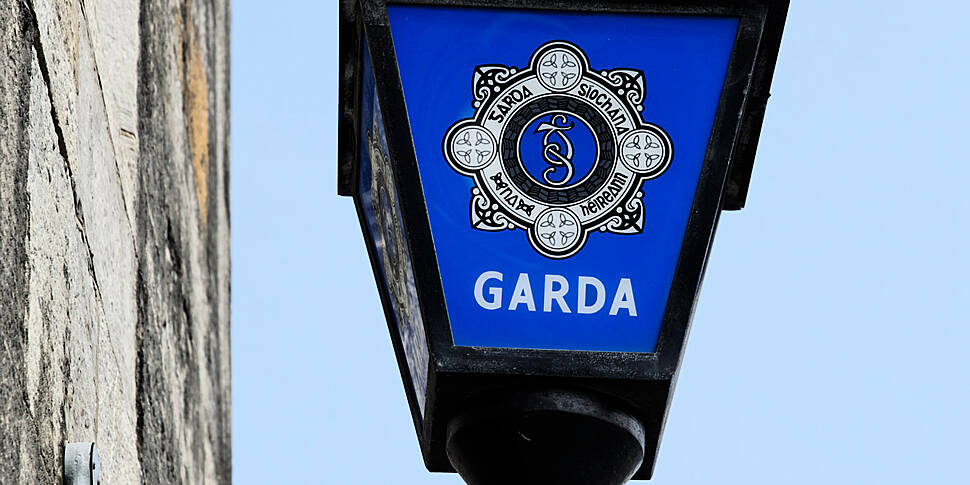 Gardai Investigate After Dog F...