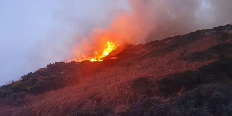 Howth Gorse Fire Brought Under...