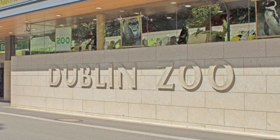 Dublin Zoo Announces The Death...
