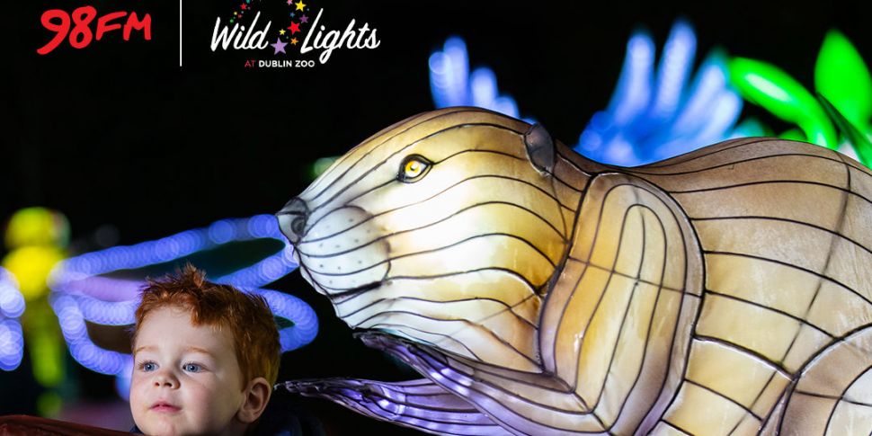 Wildlights Preview: Dublin Zoo...