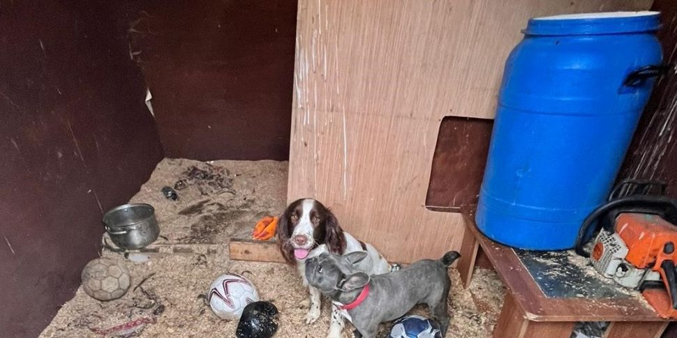 Drugs And 16 Puppies Seized In...