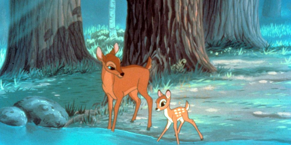 A Live Action Bambi Is In The...