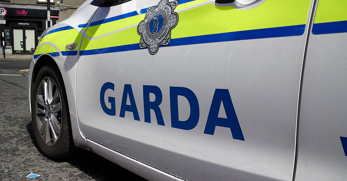 Loaded Gun Discovered Following Car Chase In West Dublin - Vimarsana News