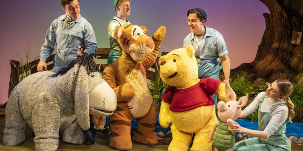 Winnie The Pooh The Musical Co...