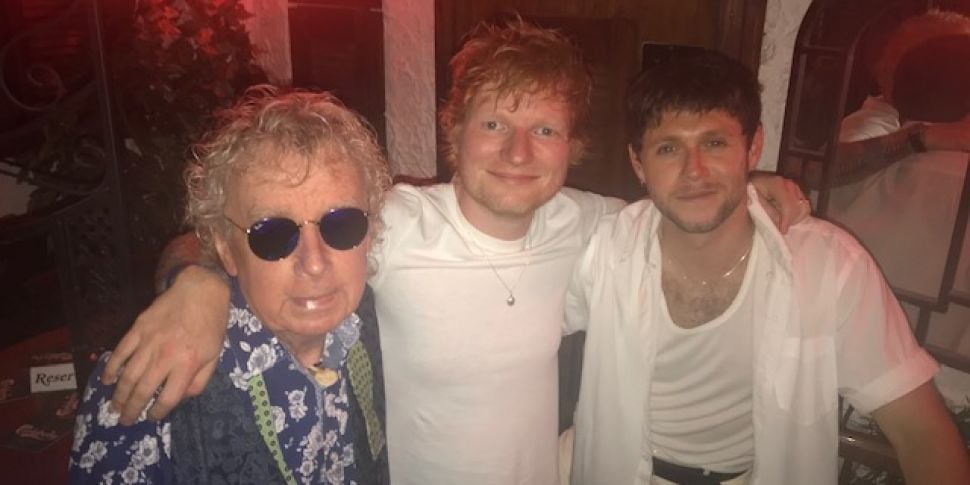 Niall Horan, Ed Sheeran, Lewis...