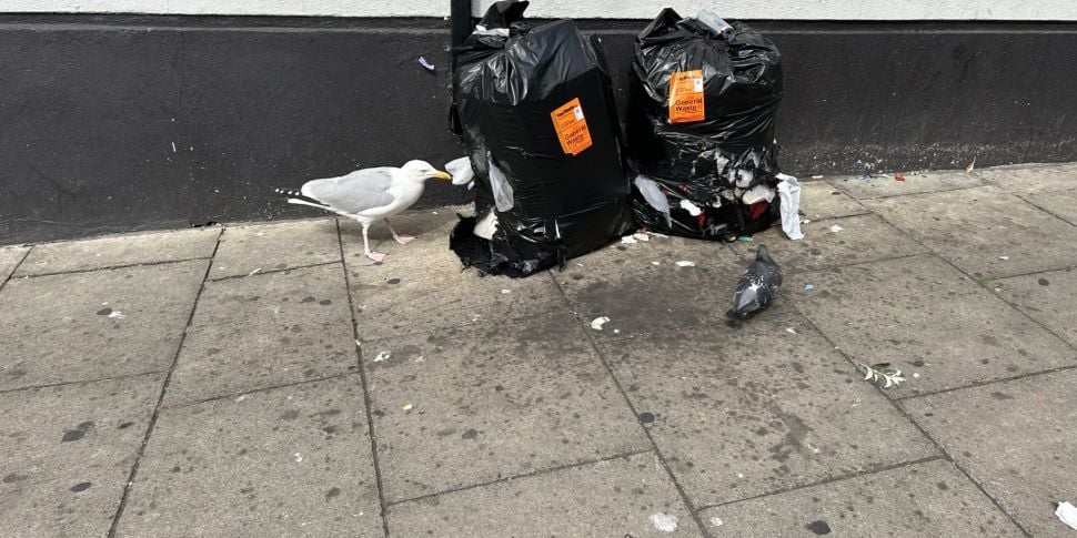 Plastic Bin Bags To Be Banned...