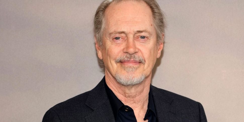 Hollywood Actor Steve Buscemi...