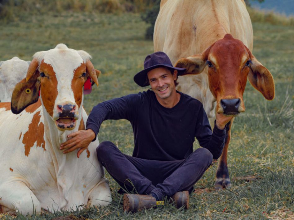 People are cuddling cows - and it&rsquo;s changing their lives