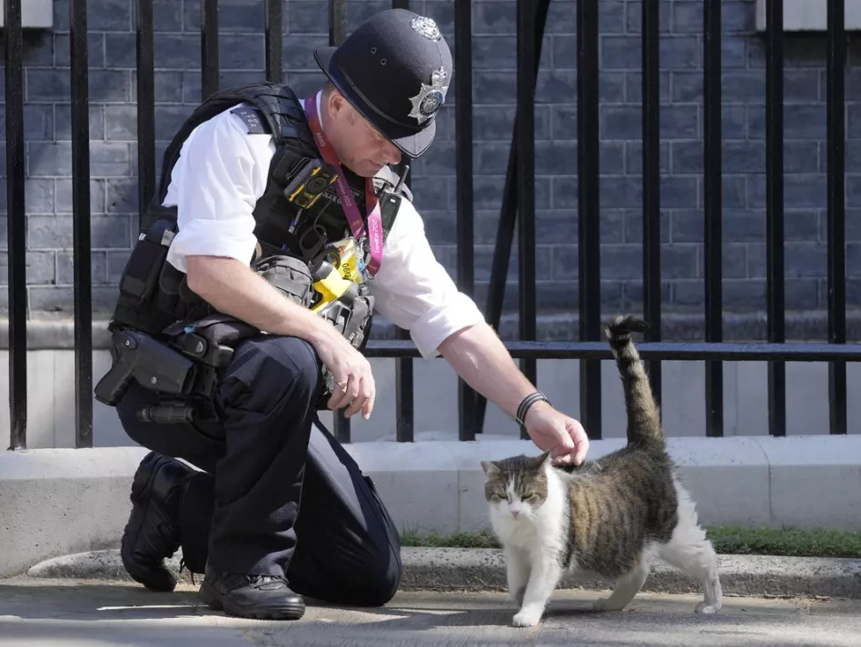 Fears are growing for Larry, the world&rsquo;s most famous mouser
